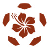 RYUKYU SOCCER PRESS