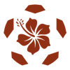 RYUKYU SOCCER PRESS